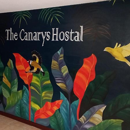The Canarys Hostal Santa Rosa de Cabal Esterno foto